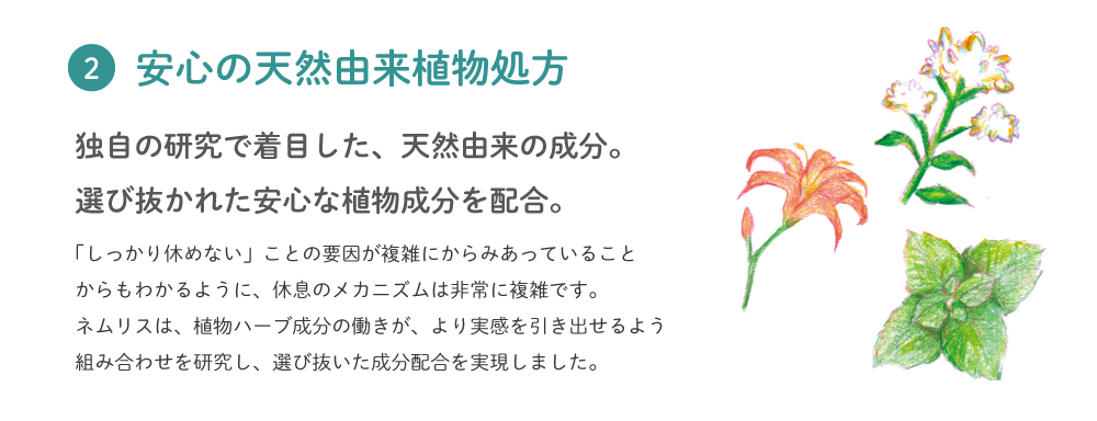 独自研究で着目した天然由来成分