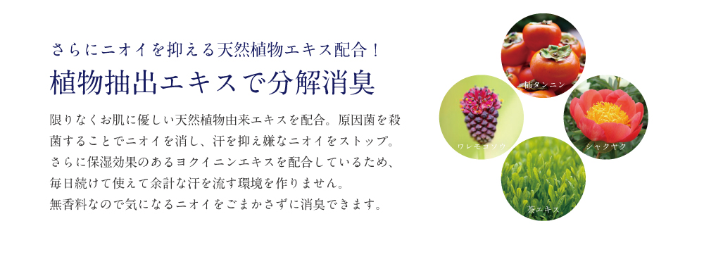 植物エキスで分解消臭
