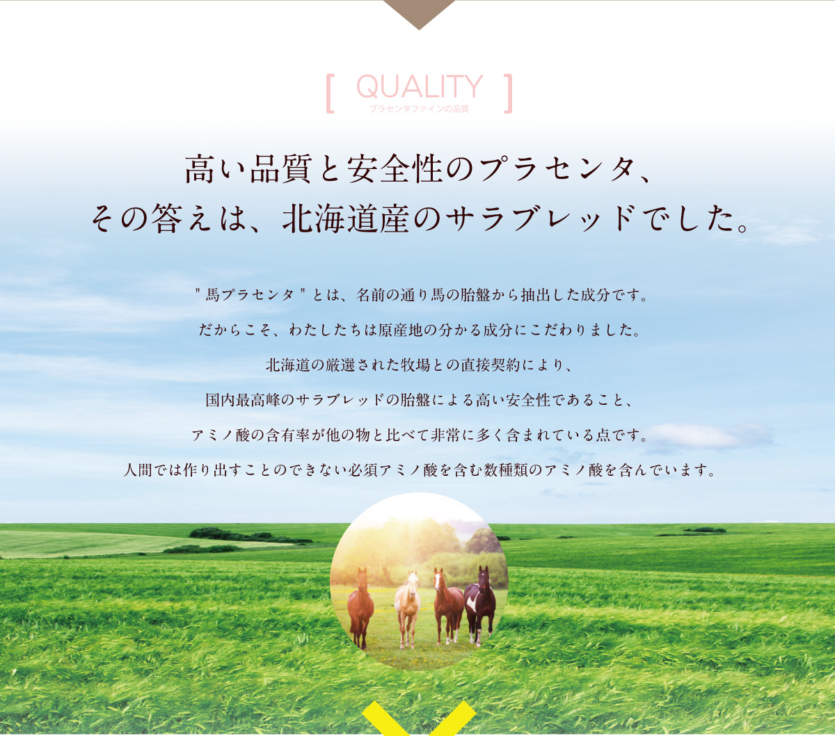 高い安全性の馬プラセンタ