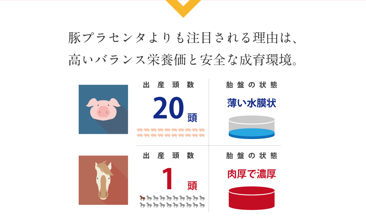 豚プラセンタよりも注目される理由